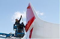 IMG_3940.jpg