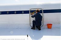 IMG_3945.jpg