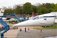 IMG_1990.jpg