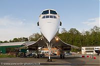 IMG_1998.jpg