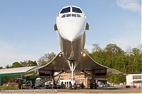 IMG_2033.jpg