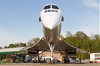 IMG_2035.jpg