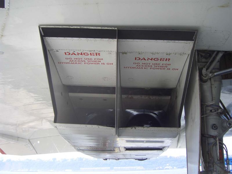 CIMG4419-01.jpg