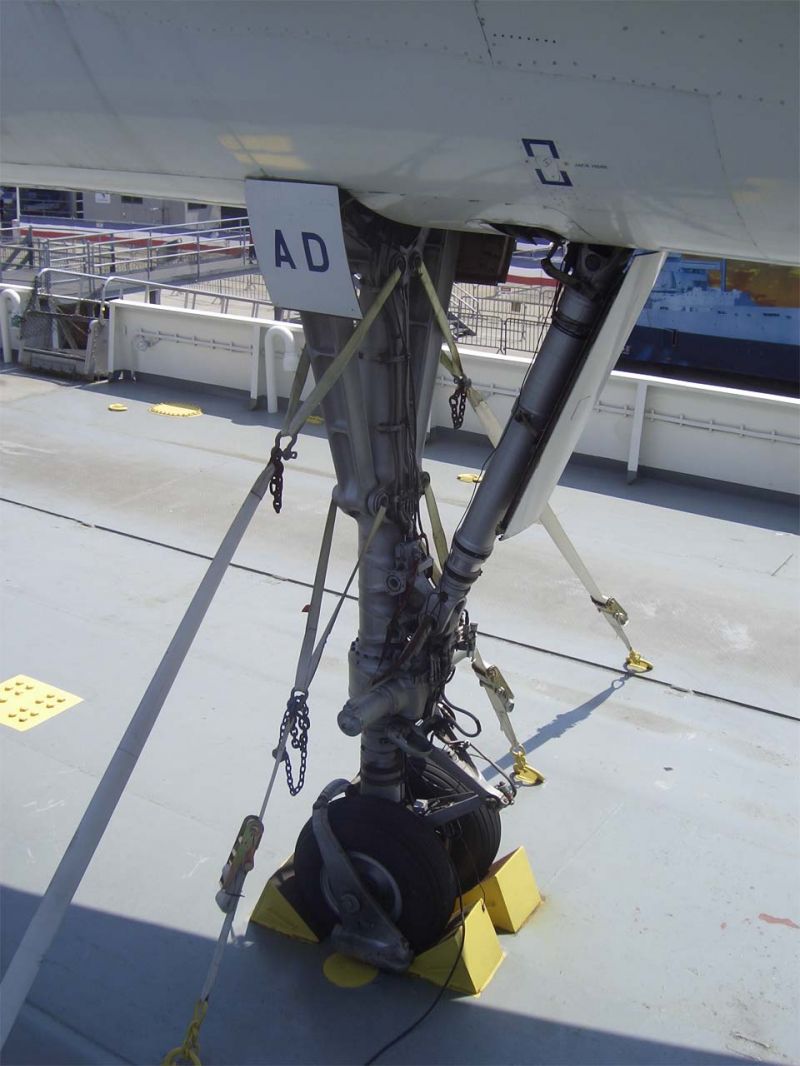 CIMG4423-01.jpg