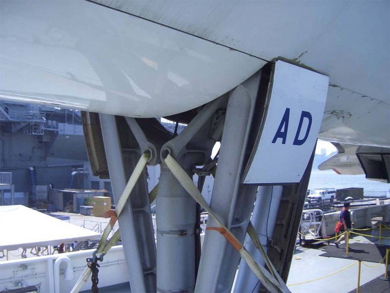 CIMG4437-01.jpg