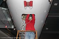 IMG_6767.jpg