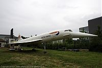 IMG_6523-01.jpg
