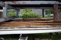 IMG_6033-01.jpg