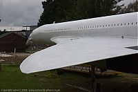 IMG_6385-01.jpg