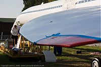 IMG_6878-01.jpg