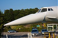 IMG_6411-01.jpg