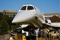 IMG_6412-01.jpg