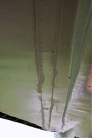 IMG_6423-01.jpg