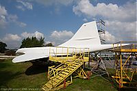 IMG_6436-01.jpg