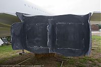 IMG_6445-01.jpg