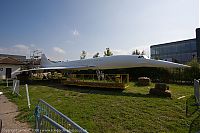 IMG_6454-01.jpg
