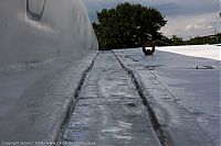 IMG_5897-01.jpg