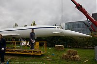 IMG_6585-01.jpg