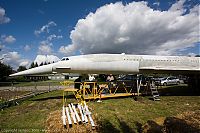 IMG_6324-01.jpg
