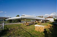 IMG_6334-01.jpg