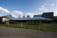 IMG_6336-01.jpg