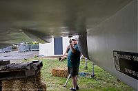IMG_6352-01.jpg