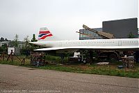 IMG_6137-01.jpg