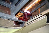 IMG_6203-01.jpg