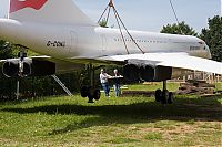IMG_5599-01.jpg