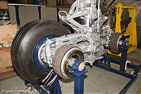 IMG_6386.jpg